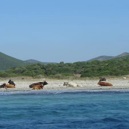 Sa Tuerra Bed & Breakfast