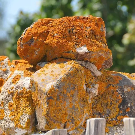 Bed & Breakfast Agrituerra 3*