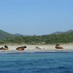 Sa Tuerra فندق مبيت وإفطار